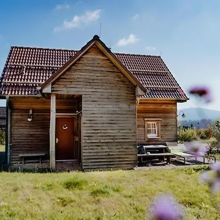 Holiday home Ferienhaeuser, Harz Torfhaus