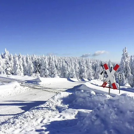 Ferienhaeuser, Harz Holiday home